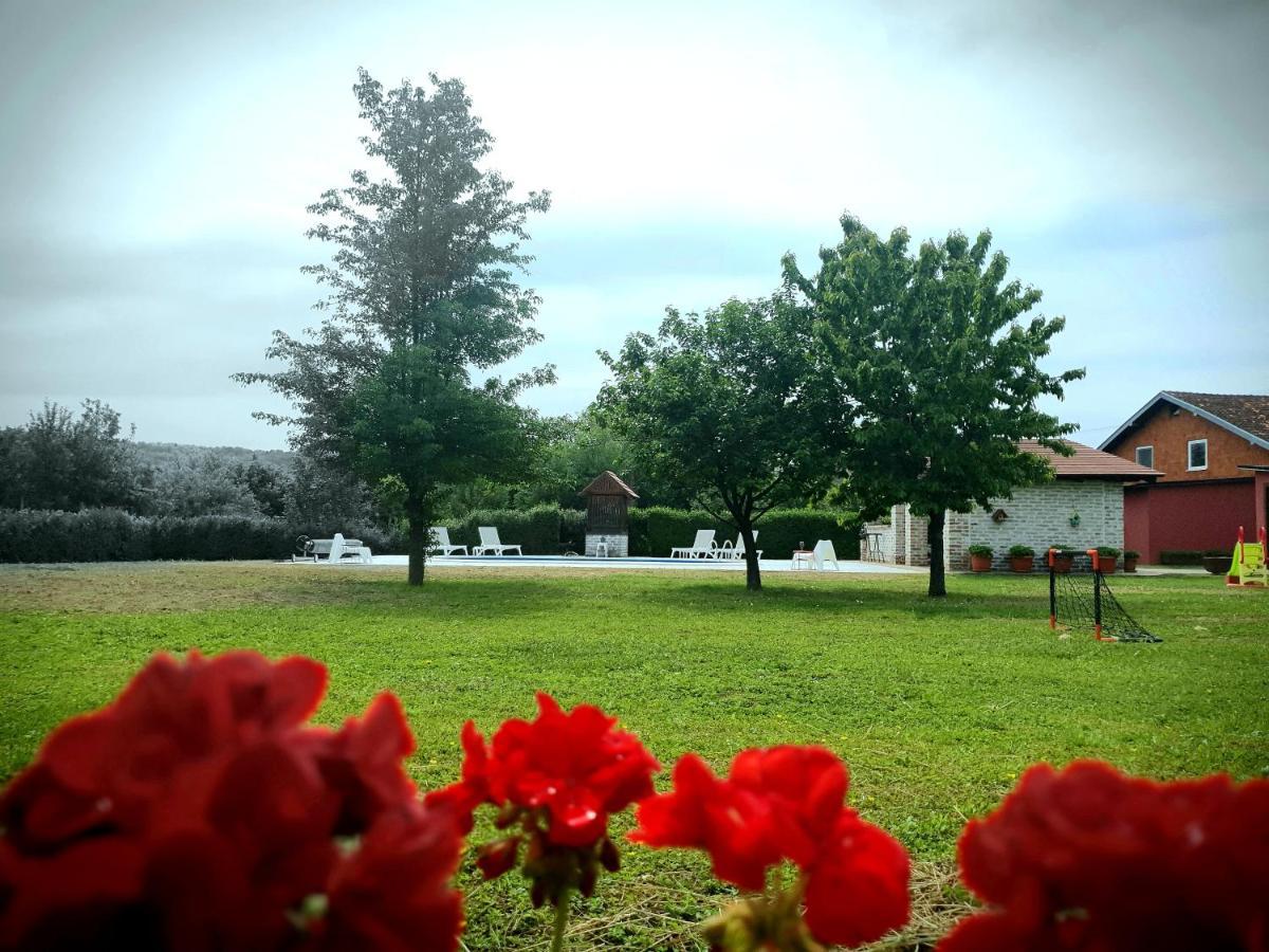 Villa Mons Aureus Popovac Dış mekan fotoğraf
