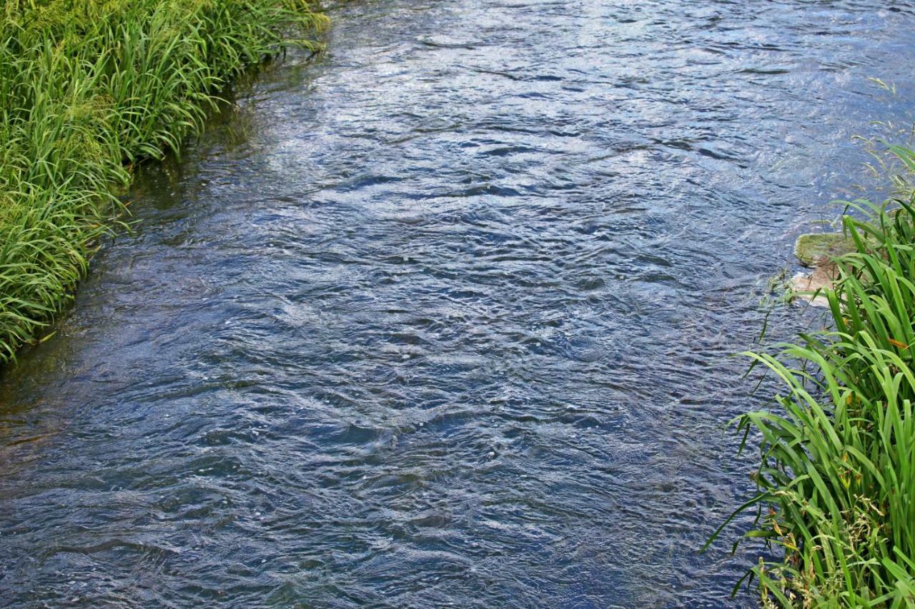 Villa Mons Aureus Popovac Dış mekan fotoğraf