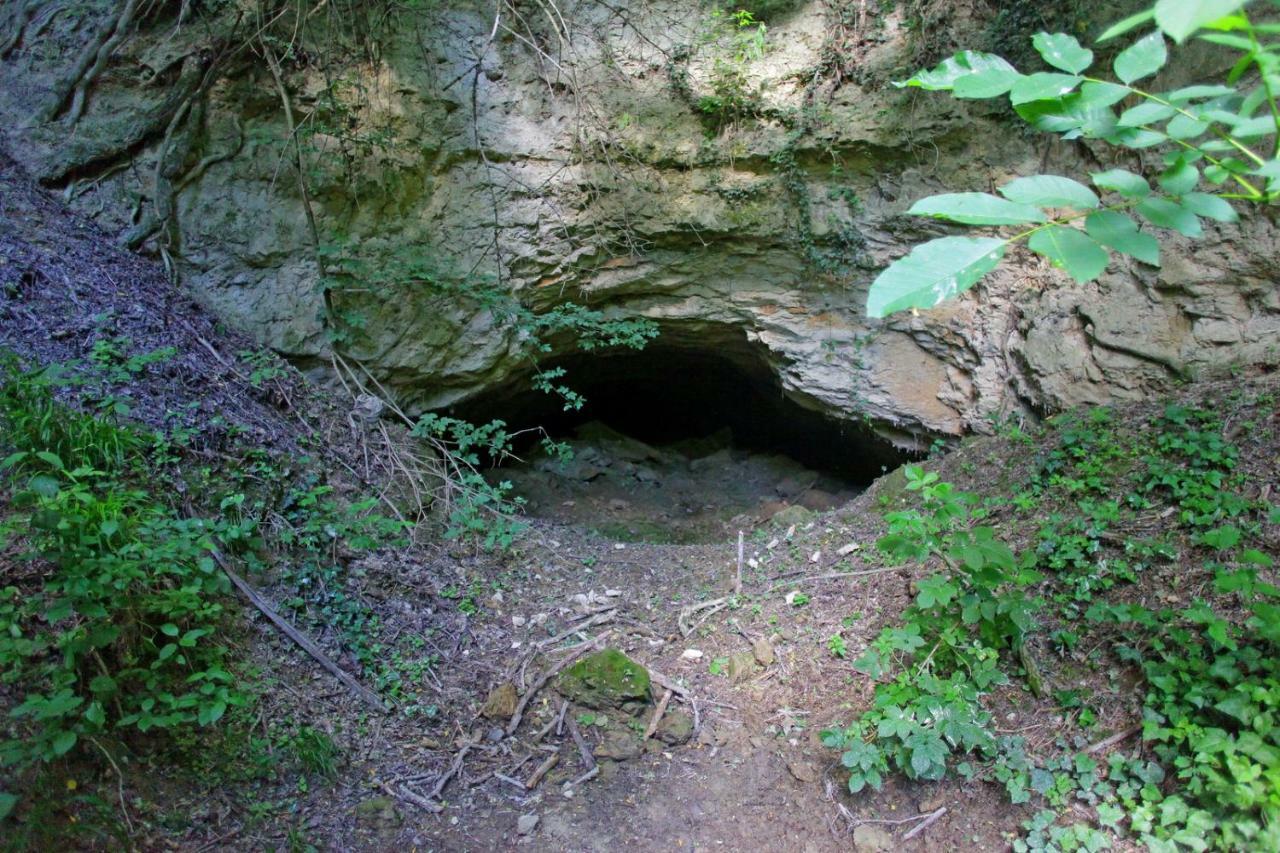Villa Mons Aureus Popovac Dış mekan fotoğraf