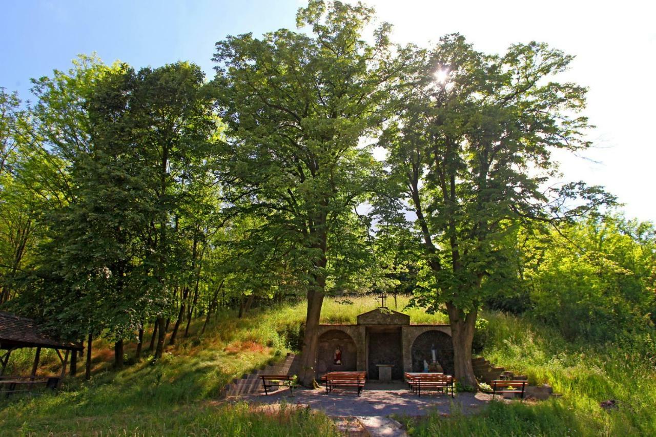 Villa Mons Aureus Popovac Dış mekan fotoğraf