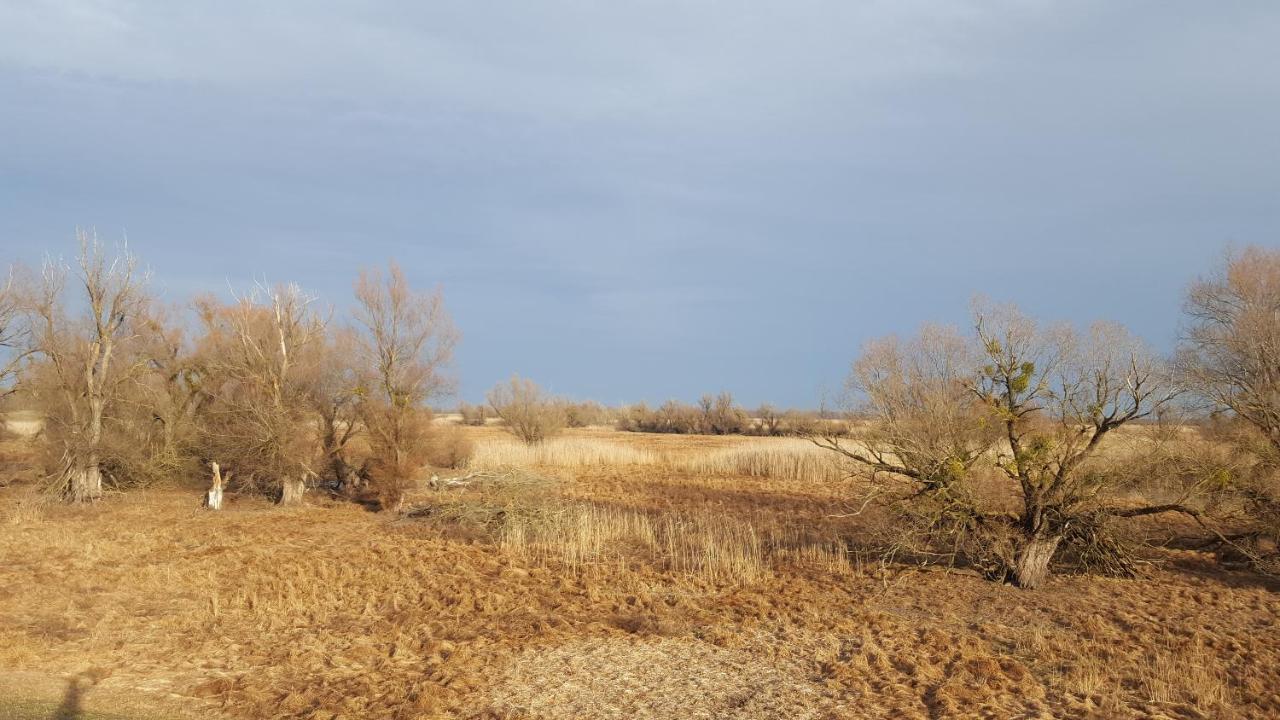 Villa Mons Aureus Popovac Dış mekan fotoğraf