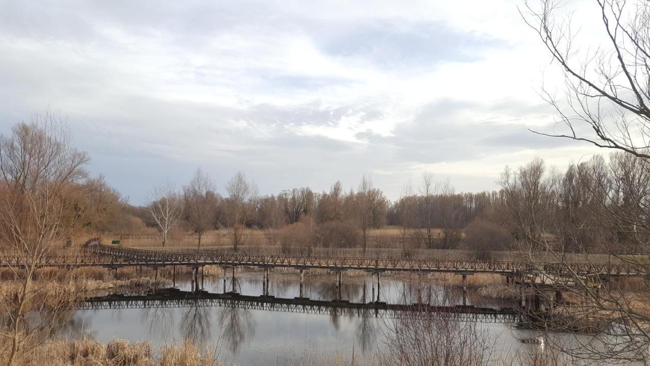 Villa Mons Aureus Popovac Dış mekan fotoğraf